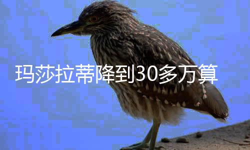 玛莎拉蒂它也很贵啊