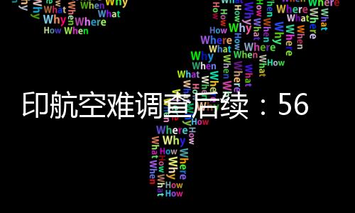 焦点印度商业飞行员协会表示