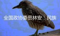 全国政协委员林安
：民族地区基层医疗卫生要用“薪资留人”