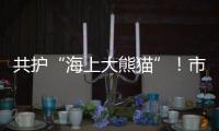 共护“海上大熊猫”！市民积极参与中华白海豚保护宣传日活动