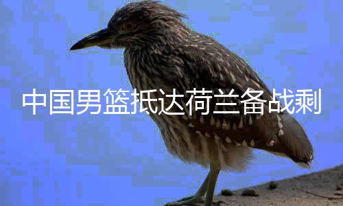 将与荷兰男篮进行两场热身赛