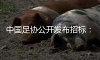 中国足协公开发布招标	：千万布局国足行业大模型
