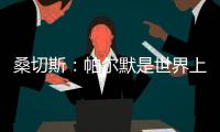 桑切斯
	：帕尔默是世界上最好的球员，他的发挥如同魔法一样
