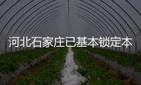 河北石家庄已基本锁定本轮疫情传播源头
