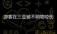 游客在三亚被不明物咬伤后身亡，官方通报：已成立调查组