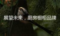 展望未来，厨房橱柜品牌以环保优势席卷市场