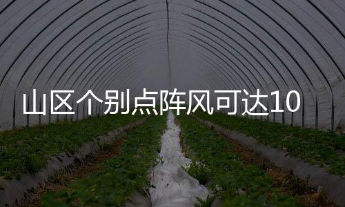 北京市发布大风蓝色预警