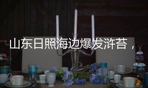 一些游客下到海水里游玩