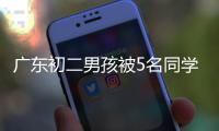 广东初二男孩被5名同学围殴，父亲抡起铁棍将其中一名活活打死，判决结果出来后，网友不淡定了…