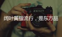 快排公司十年历程，霸屏兔 seo 的崛起与坚守