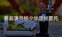 著名演员杨少华是被累死的？儿子杨议回应：那天问他“行吗”，他说不在家待着就行	，“他跑腿跑了一辈子，就喜欢出去溜溜！”