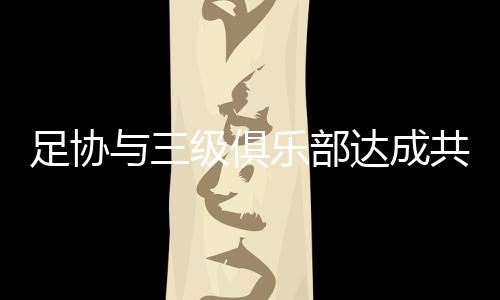 共识并获得国际足联支持